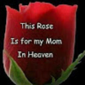 Meet your Posher, Bartholomew